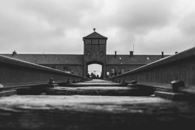 Half of UK adults don’t know how many Jews died in the Holocaust, says shocking new survey Half of UK adults don’t know how many Jews died in the Holocaust, says shocking new survey