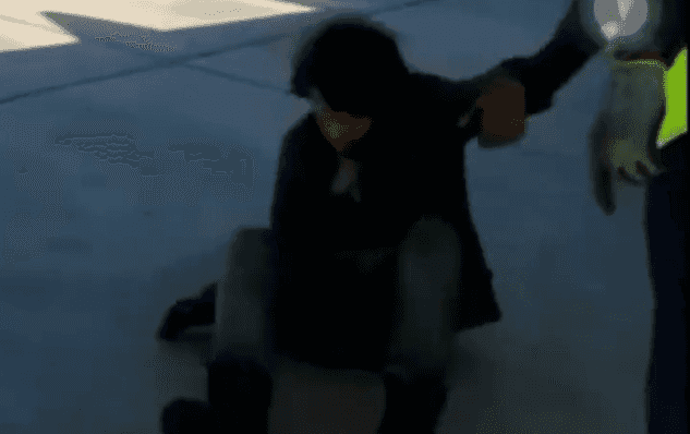 Stowaway emerges from wheels of plane after hours at 33,000ft Stowaway emerges from wheels of plane after hours at 33,000ft