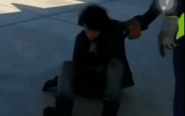 Stowaway emerges from wheels of plane after hours at 33,000ft Stowaway emerges from wheels of plane after hours at 33,000ft