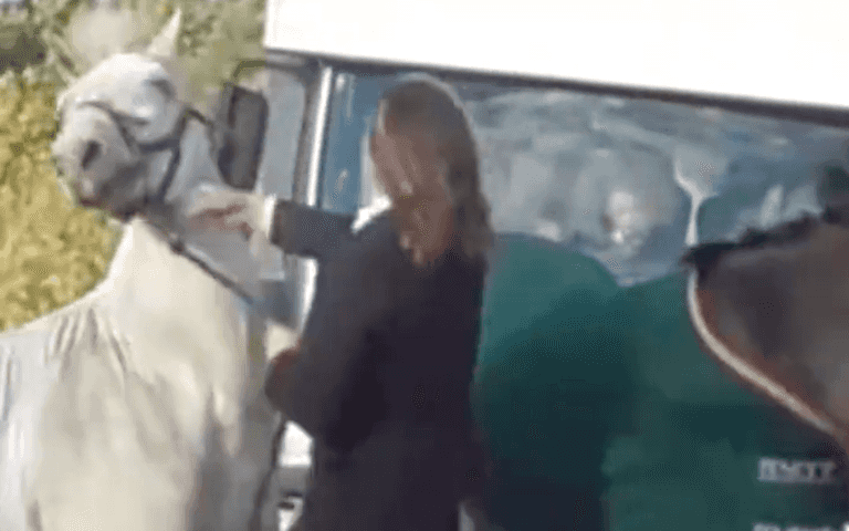 Woman filmed ‘punching and kicking horse’ is ‘mum and primary school teacher’ Woman filmed ‘punching and kicking horse’ is ‘mum and primary school teacher’