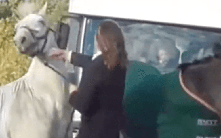 Woman filmed ‘punching and kicking horse’ is ‘mum and primary school teacher’ Woman filmed ‘punching and kicking horse’ is ‘mum and primary school teacher’