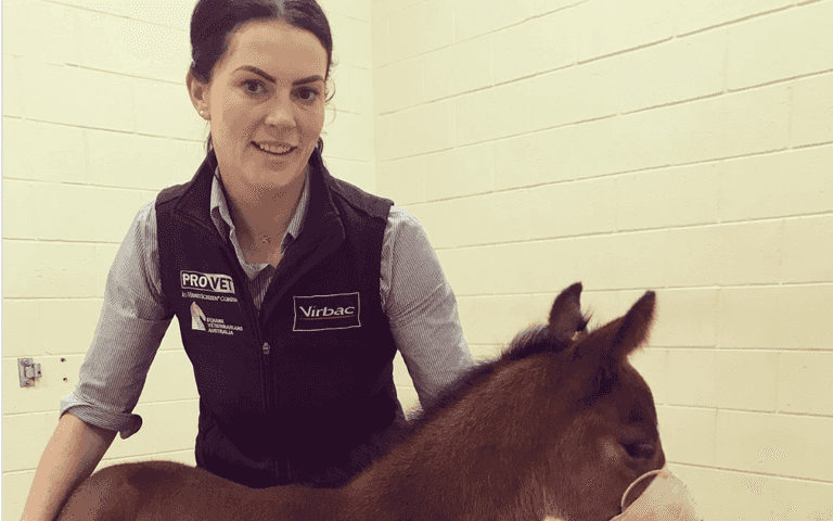 Vet struck off for injecting friends with horse tranquilliser during weekend bender Vet struck off for injecting friends with horse tranquilliser during weekend bender