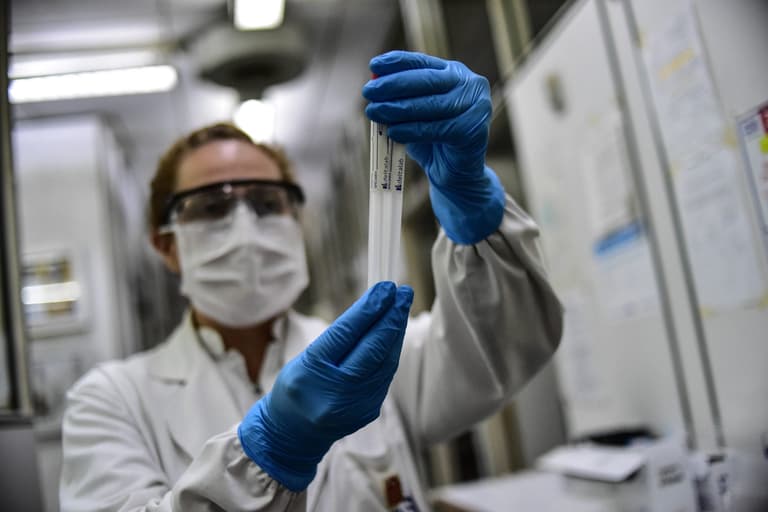 Mouse with covid sparks lab alert after biting scientist Mouse with covid sparks lab alert after biting scientist
