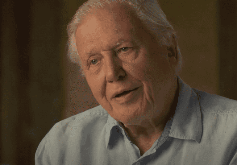 David Attenborough says he hopes he dies quickly David Attenborough says he hopes he dies quickly