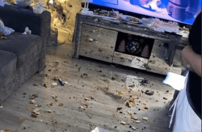 Mum spends £85 on a ‘Grinch visit’ for him to trash house and pour juice on son Mum spends £85 on a ‘Grinch visit’ for him to trash house and pour juice on son