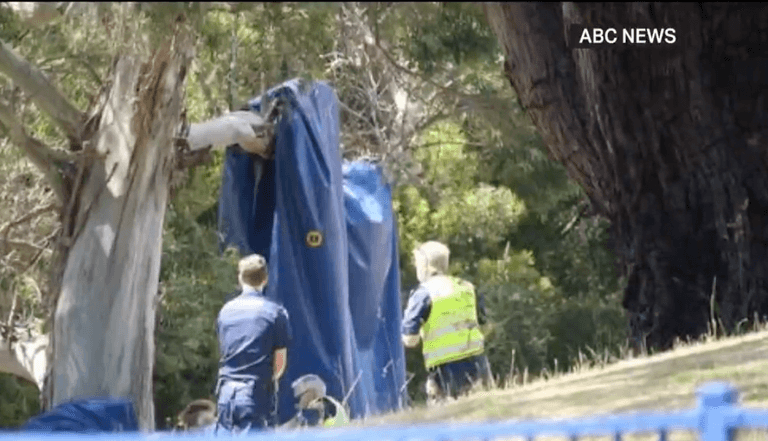 Five children dead with more injured after bouncy castle accident Five children dead with more injured after bouncy castle accident