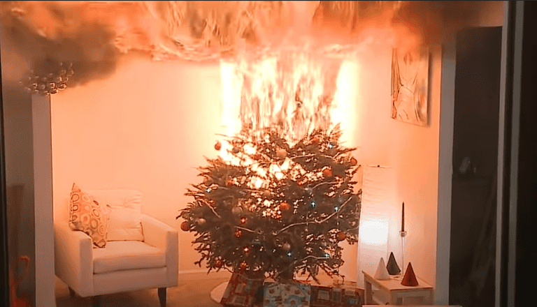 Viral warning video shows why you should be watering your Christmas tree Viral warning video shows why you should be watering your Christmas tree