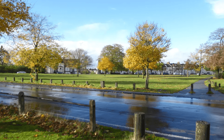 Rape suspect, 13, bitten by dog after owner stops attack in a park Rape suspect, 13, bitten by dog after owner stops attack in a park