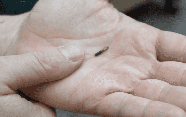 Tiny rice-sized microchip implant which holds your Covid passport info unveiled Tiny rice-sized microchip implant which holds your Covid passport info unveiled