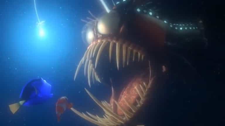 ‘Gruesome’ sea monster washes ashore and traps runners foot ‘Gruesome’ sea monster washes ashore and traps runners foot