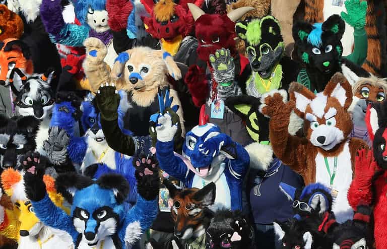 School district responds to rumours litter boxes are for students identifying as furries School district responds to rumours litter boxes are for students identifying as furries