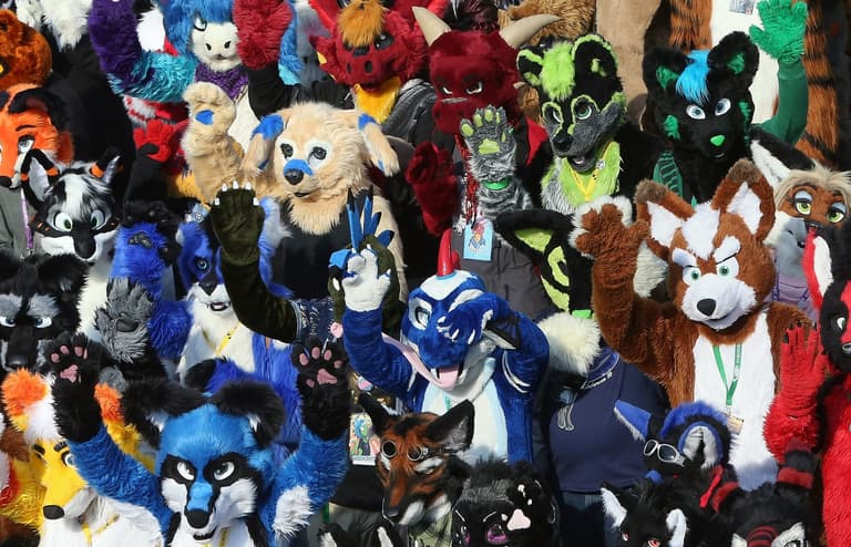 School district responds to rumours litter boxes are for students identifying as furries School district responds to rumours litter boxes are for students identifying as furries