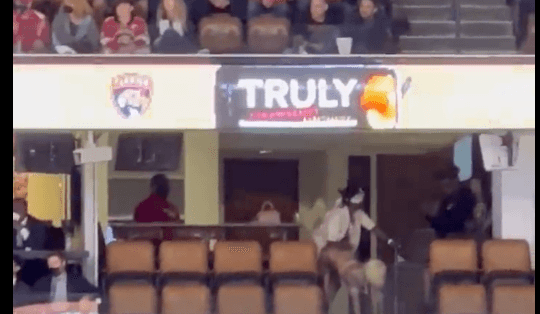 Fans thought they caught rapper Kodak Black having sex live at hockey game Fans thought they caught rapper Kodak Black having sex live at hockey game