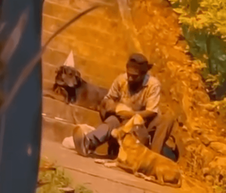 Camera catches homeless man throwing birthday party for his dog Camera catches homeless man throwing birthday party for his dog