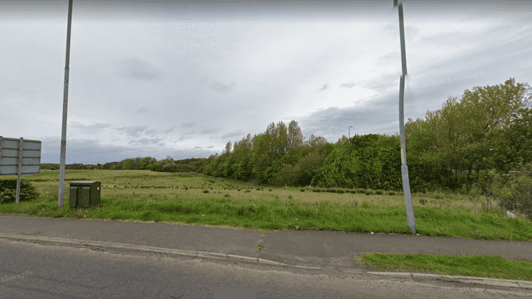 Motorist found dead in field mauled by badger after her car broke down Motorist found dead in field mauled by badger after her car broke down