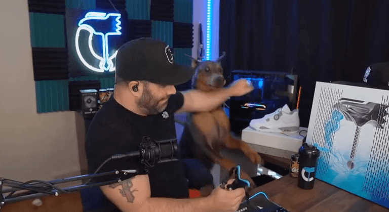 Streamer apologises after clip of him shoving dog into fridge sparks backlash Streamer apologises after clip of him shoving dog into fridge sparks backlash