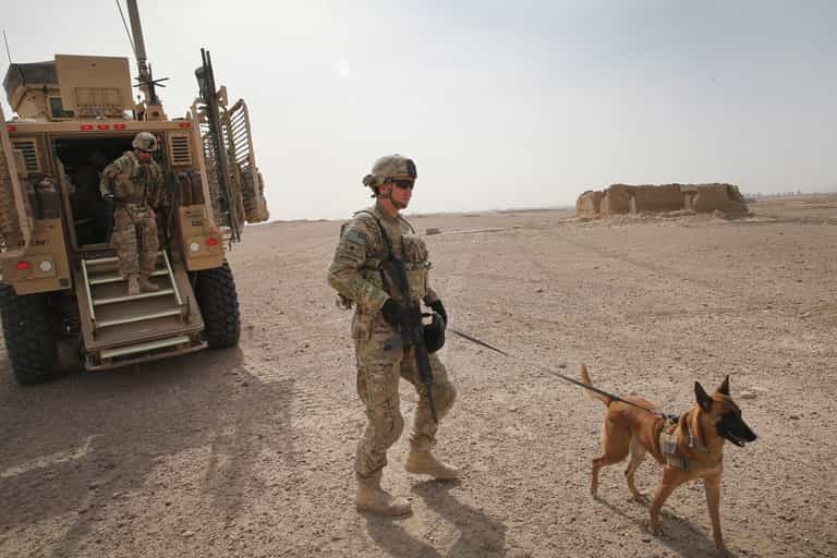 SAS soldier ran through gunfire to save army dog shot after it helped kill sniper SAS soldier ran through gunfire to save army dog shot after it helped kill sniper