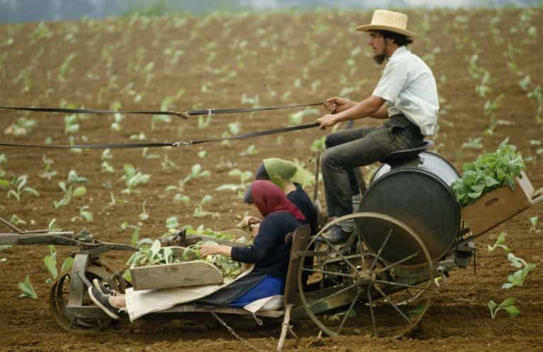 ‘Reckless’ Amish horse rider accused of drink driving after ‘a couple of beers’ ‘Reckless’ Amish horse rider accused of drink driving after ‘a couple of beers’