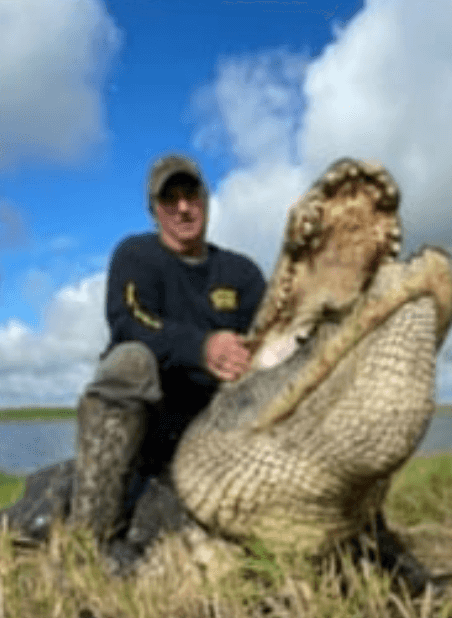 Hunter kills 13ft monster alligator as it ‘Threatens Livestock’ Hunter kills 13ft monster alligator as it ‘Threatens Livestock’