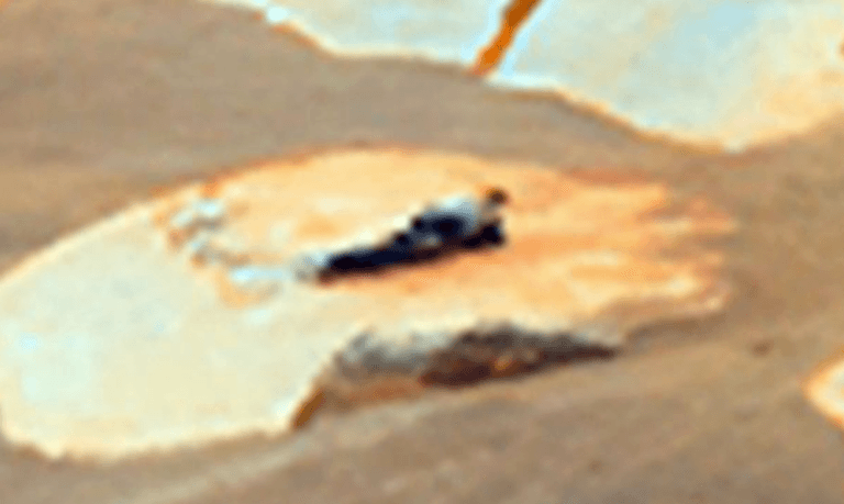 ‘Alien’ spotted watching Mars rover in certain ‘proof of life’, expert claims ‘Alien’ spotted watching Mars rover in certain ‘proof of life’, expert claims