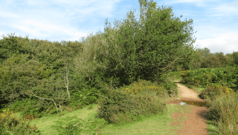 UK beauty spot haunted by rude ‘woman in white’ ghost who tells people to ‘f*ck off’ UK beauty spot haunted by rude ‘woman in white’ ghost who tells people to ‘f*ck off’
