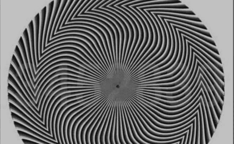Optical illusion leaves people divided over which number it actually shows Optical illusion leaves people divided over which number it actually shows