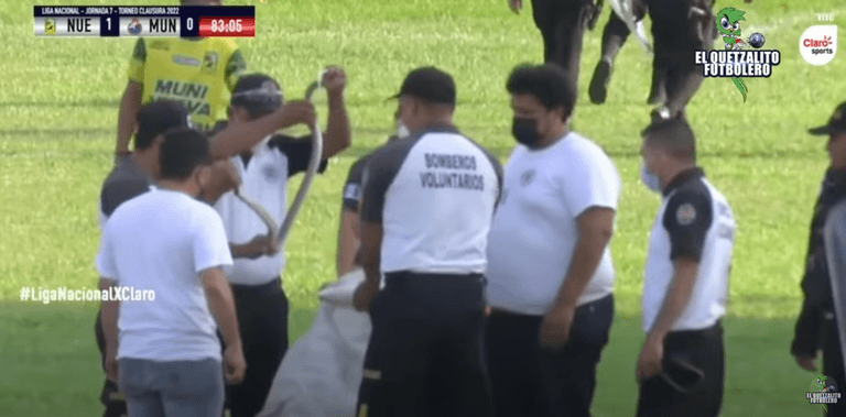 Snake brings football match to a halt in Guatemala after invading pitch Snake brings football match to a halt in Guatemala after invading pitch