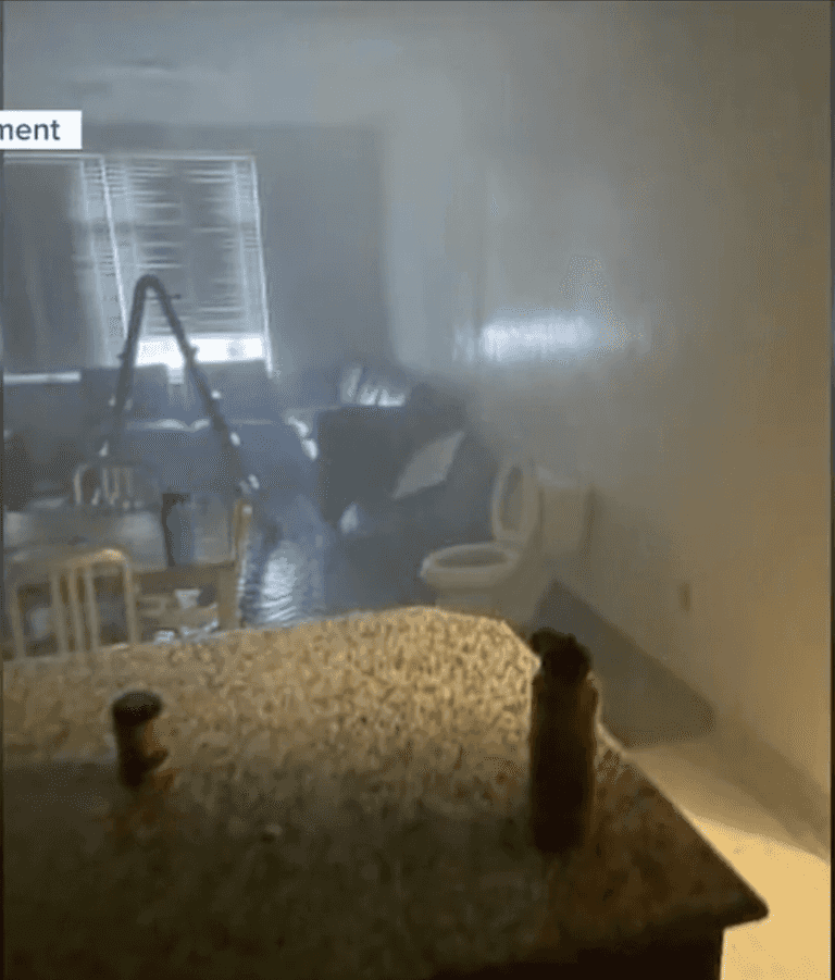Student makes homemade rocket fuel – almost burns down uni Student makes homemade rocket fuel – almost burns down uni