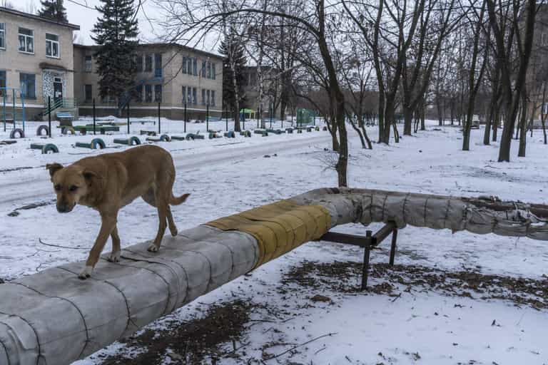 Putin’s forces are leaving corpses of soldiers to be ‘eaten by dogs’, army vet claims Putin’s forces are leaving corpses of soldiers to be ‘eaten by dogs’, army vet claims