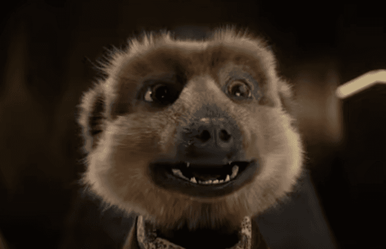 Meerkat ads pulled over Ukraine war sensitivities Meerkat ads pulled over Ukraine war sensitivities