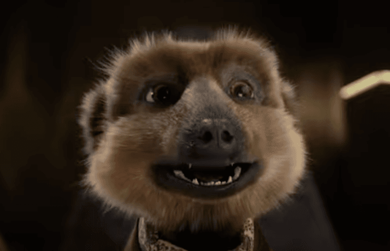 Meerkat ads pulled over Ukraine war sensitivities Meerkat ads pulled over Ukraine war sensitivities