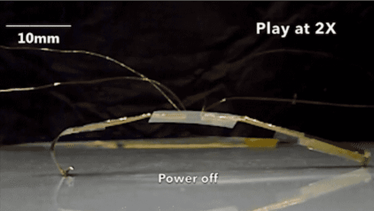 Scientists have created robot bugs- have they not watched Black Mirror? Scientists have created robot bugs- have they not watched Black Mirror?