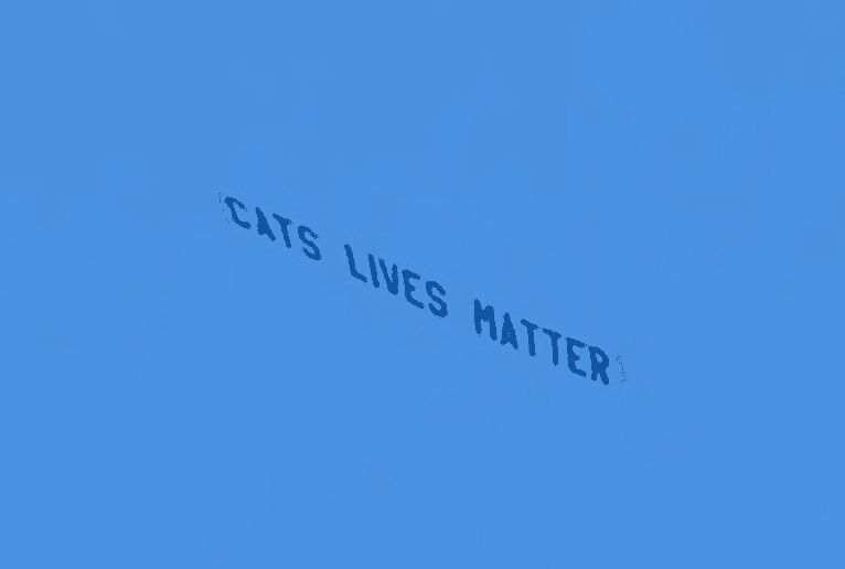 ‘Cats’ Lives Matter’ banner flies over Anfield during Liverpool-West Ham game ‘Cats’ Lives Matter’ banner flies over Anfield during Liverpool-West Ham game
