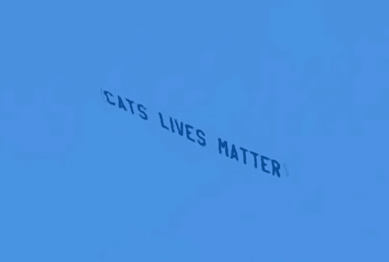 ‘Cats’ Lives Matter’ banner flies over Anfield during Liverpool-West Ham game ‘Cats’ Lives Matter’ banner flies over Anfield during Liverpool-West Ham game