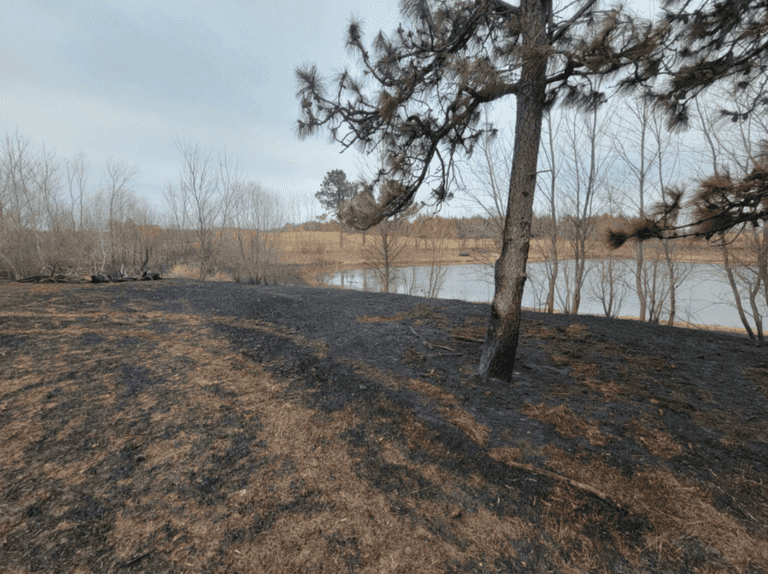 Homemade potato launcher sparks New York wildfire Homemade potato launcher sparks New York wildfire
