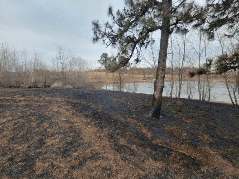Homemade potato launcher sparks New York wildfire Homemade potato launcher sparks New York wildfire