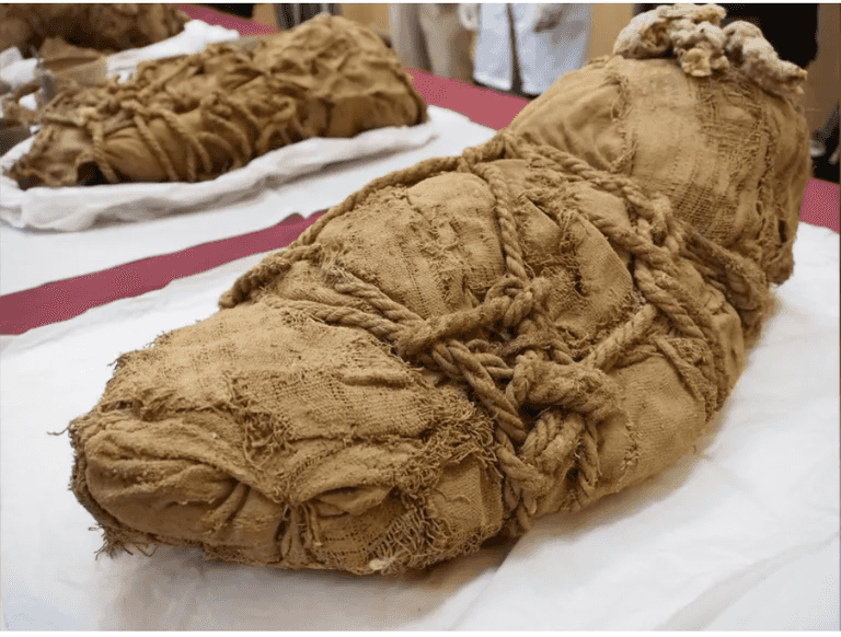 Remains of ancient ritual sacrifice victims found near 1,000-year-old mummy Remains of ancient ritual sacrifice victims found near 1,000-year-old mummy