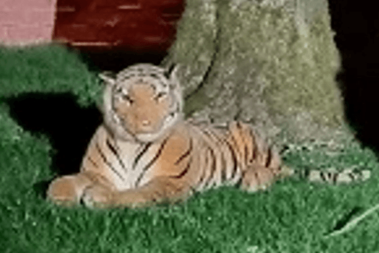 Terrified neighbours call police over tiger in back garden – it was a cuddly toy Terrified neighbours call police over tiger in back garden – it was a cuddly toy