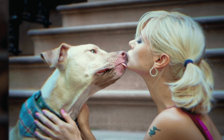 Netflix’s newest doc shocks fans as woman reveals she was swindled out of $2m to make her dog ‘immortal’ Netflix’s newest doc shocks fans as woman reveals she was swindled out of $2m to make her dog ‘immortal’
