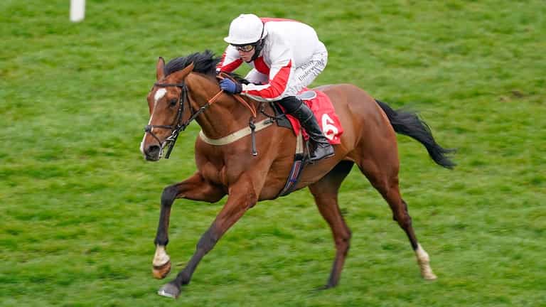 Racehorse Shallwehaveonemore dies on day one of Cheltenham Festival Racehorse Shallwehaveonemore dies on day one of Cheltenham Festival