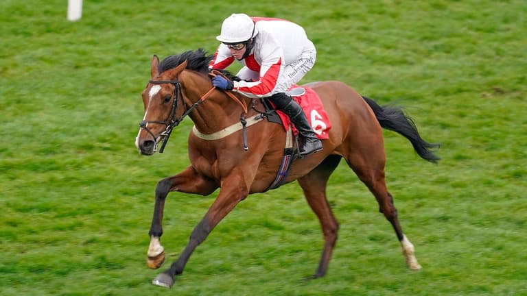 Racehorse Shallwehaveonemore dies on day one of Cheltenham Festival Racehorse Shallwehaveonemore dies on day one of Cheltenham Festival
