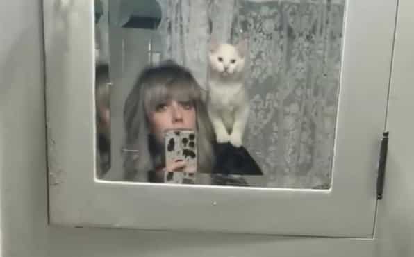 Woman paid $25,000 to clone her soulmate cat that died Woman paid $25,000 to clone her soulmate cat that died