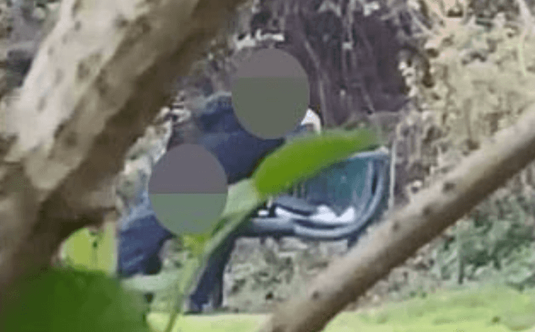 Bobby on the beat arrested after being filmed appearing to commit sex act on himself in park Bobby on the beat arrested after being filmed appearing to commit sex act on himself in park