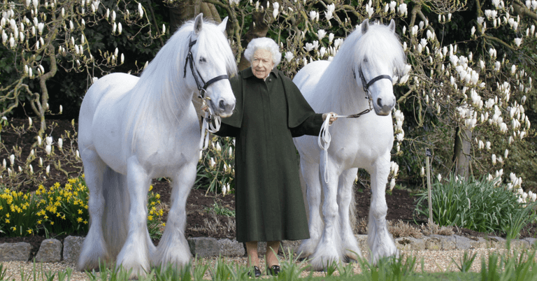 Queen channels Kim Jong-un for Lord of the Rings-style 96th birthday snap Queen channels Kim Jong-un for Lord of the Rings-style 96th birthday snap