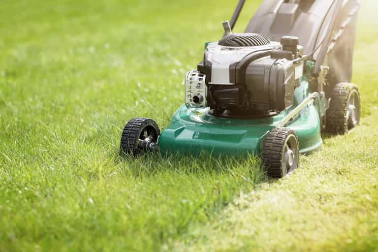 People are being told to not cut their grass in May for a good cause People are being told to not cut their grass in May for a good cause