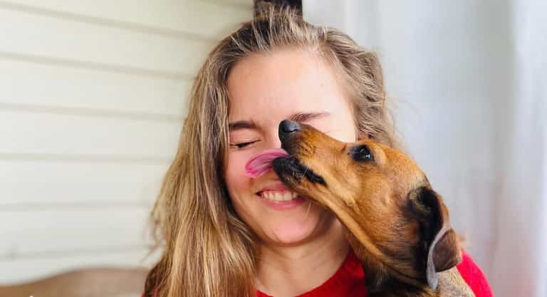 Your dog’s kisses may contain a superbug that could kill you, study says Your dog’s kisses may contain a superbug that could kill you, study says