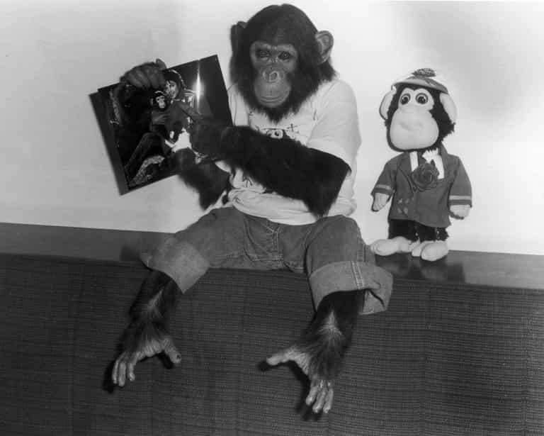 Some of Michael Jackson’s zoo animals suffered horrific fates, documentary finds Some of Michael Jackson’s zoo animals suffered horrific fates, documentary finds