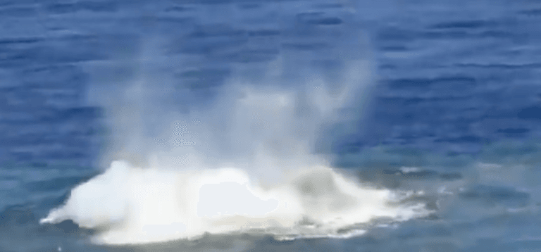 Volcano where mutant sharks live in acidic underworld crater is erupting Volcano where mutant sharks live in acidic underworld crater is erupting