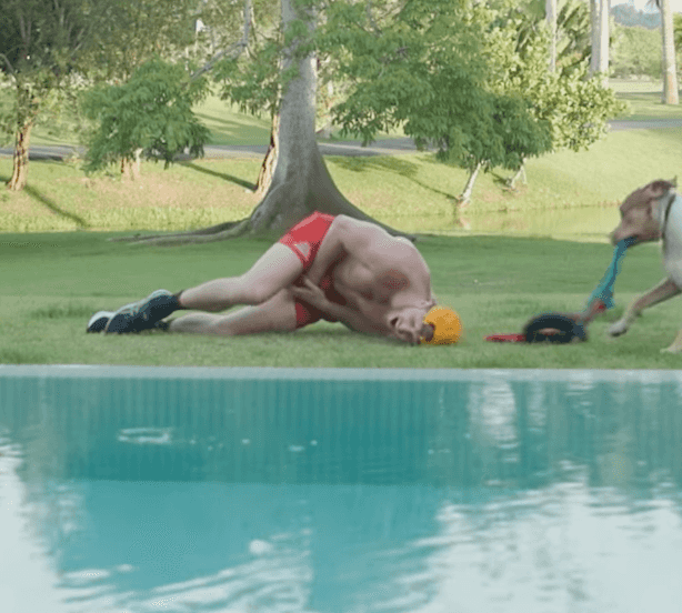 Logan Paul bitten on the testicles by dog during workout in video that has gone viral Logan Paul bitten on the testicles by dog during workout in video that has gone viral