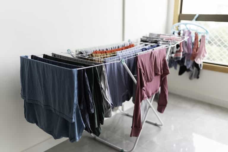 Drying clothes indoors can make you unwell, expert says, but there is a way around it for 79p Drying clothes indoors can make you unwell, expert says, but there is a way around it for 79p